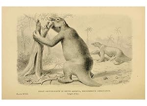 Bild des Verkufers fr Reproduccin/Reproduction 5977816944: Extinct monsters London :Chapman & Hall,1896 zum Verkauf von EL BOLETIN