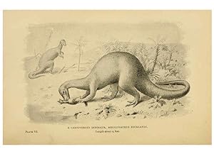 Bild des Verkufers fr Reproduccin/Reproduction 5977815066: Extinct monsters London :Chapman & Hall,1896 zum Verkauf von EL BOLETIN