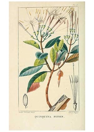 Bild des Verkufers fr Reproduccin/Reproduction 6004845843: Flore pittoresque et me?dicale des Antilles v.1 Paris Pichard,1821-1829 zum Verkauf von EL BOLETIN