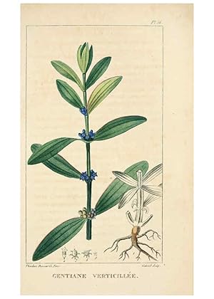 Bild des Verkufers fr Reproduccin/Reproduction 6004846581: Flore pittoresque et me?dicale des Antilles v.1 Paris Pichard,1821-1829 zum Verkauf von EL BOLETIN