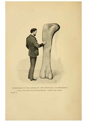 Bild des Verkufers fr Reproduccin/Reproduction 5977814920: Extinct monsters London :Chapman & Hall,1896 zum Verkauf von EL BOLETIN