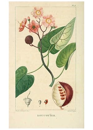 Bild des Verkufers fr Reproduccin/Reproduction 6004843839: Flore pittoresque et me?dicale des Antilles v.1 Paris Pichard,1821-1829 zum Verkauf von EL BOLETIN