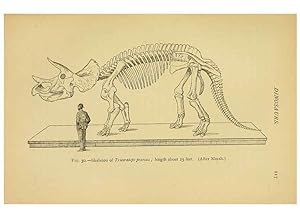 Bild des Verkufers fr Reproduccin/Reproduction 5977815904: Extinct monsters London :Chapman & Hall,1896 zum Verkauf von EL BOLETIN