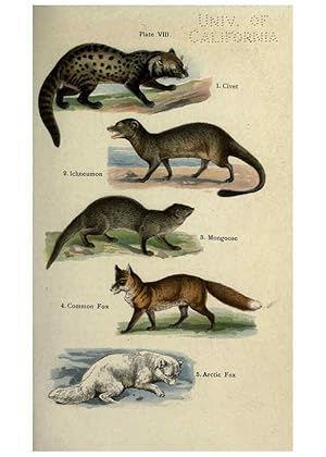 Imagen del vendedor de Reproduccin/Reproduction 5985362744: The handy natural history Boston,R.G. Badger, The Gorham press,1910 a la venta por EL BOLETIN