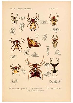 Bild des Verkufers fr Reproduccin/Reproduction 5984701887: American spiders and their spinningwork. V.3 Academy of natural sciences of Philadelphia,1889-93 zum Verkauf von EL BOLETIN