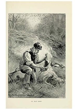 Seller image for Reproduccin/Reproduction 5981717393: The rabbit London,Longmans,1898 for sale by EL BOLETIN