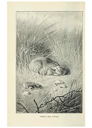 Bild des Verkufers fr Reproduccin/Reproduction 5981714169: The rabbit London,Longmans,1898 zum Verkauf von EL BOLETIN