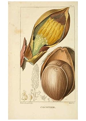 Bild des Verkufers fr Reproduccin/Reproduction 6004847753: Flore pittoresque et me?dicale des Antilles v.1 Paris Pichard,1821-1829 zum Verkauf von EL BOLETIN
