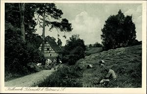 Bild des Verkufers fr Ansichtskarte / Postkarte Tnnicht Ostrau in Sachsen, Kalkwerk, Wiese, Bauern bei der Feldarbeit zum Verkauf von akpool GmbH