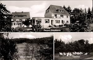 Imagen del vendedor de Ansichtskarte / Postkarte Gremsmhlen Malente in Ostholstein, Pension Diekseeblick, Bes. Frau Toni Fiedler, Liegewiese a la venta por akpool GmbH