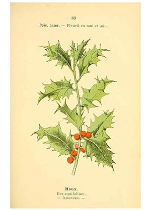 Image du vendeur pour Reproduccin/Reproduction 6022029831: Atlas de poche des plantes des champs, des prairies et des bois Paris :P. Klincksieck,[1894] mis en vente par EL BOLETIN