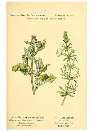 Imagen del vendedor de Reproduccin/Reproduction 6022586050: Atlas de poche des plantes des champs, des prairies et des bois Paris :P. Klincksieck,[1894] a la venta por EL BOLETIN
