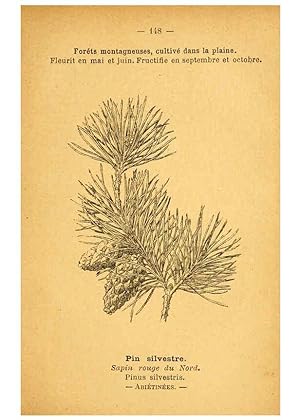 Image du vendeur pour Reproduccin/Reproduction 6022607496: Atlas de poche des plantes des champs, des prairies et des bois Paris :P. Klincksieck,[1894] mis en vente par EL BOLETIN