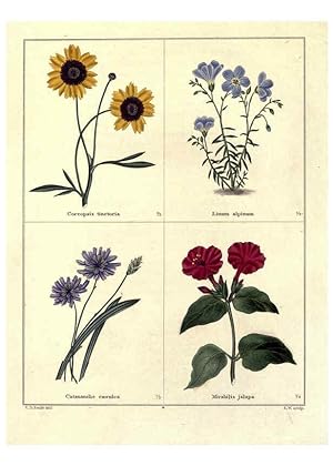 Image du vendeur pour Reproduccin/Reproduction 6029038388: The botanic garden London :Simpkin & Marshall,1825- mis en vente par EL BOLETIN