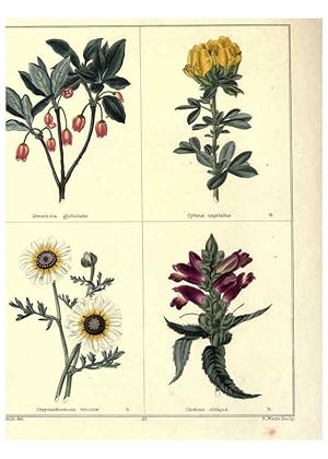 Image du vendeur pour Reproduccin/Reproduction 6028488065: The botanic garden London :Simpkin & Marshall,1825- mis en vente par EL BOLETIN