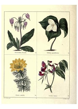 Image du vendeur pour Reproduccin/Reproduction 6028485743: The botanic garden London :Simpkin & Marshall,1825- mis en vente par EL BOLETIN