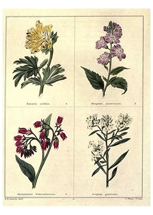 Image du vendeur pour Reproduccin/Reproduction 6029040410: The botanic garden London :Simpkin & Marshall,1825- mis en vente par EL BOLETIN