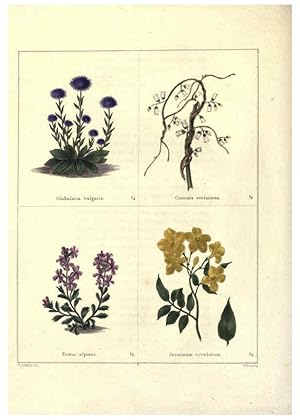 Image du vendeur pour Reproduccin/Reproduction 6028485177: The botanic garden London :Simpkin & Marshall,1825- mis en vente par EL BOLETIN