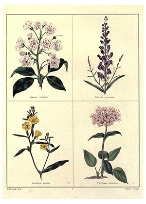 Image du vendeur pour Reproduccin/Reproduction 6028486083: The botanic garden London :Simpkin & Marshall,1825- mis en vente par EL BOLETIN
