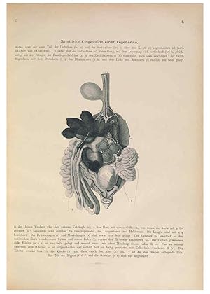 Seller image for Reproduccin/Reproduction 6008725514: Naumann, Naturgeschichte der Vgel Mitteleuropas. v.1 Gera-Untermhaus,F.E. Khler,1897-1905 [v.1, 1905] for sale by EL BOLETIN