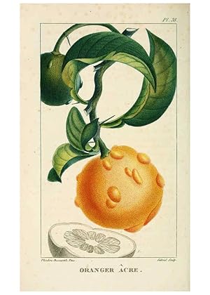 Bild des Verkufers fr Reproduccin/Reproduction 6004851963: Flore pittoresque et me?dicale des Antilles v.1 Paris Pichard,1821-1829 zum Verkauf von EL BOLETIN
