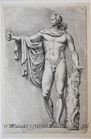 [Original etching/ets] Belvedere Apollo ['Signorum Veterum Icones', 1669].