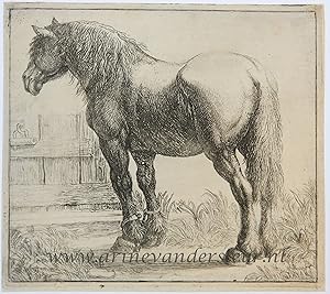 [Antique print, etching] Draught-horse next to a fence/Trekpaard naast een hek, 1600-1650.