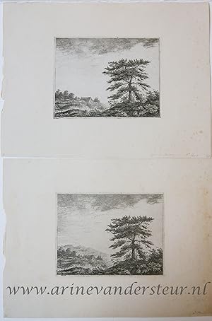 [Antique print, etching] A tree in a landscape / boom in landschap.