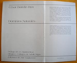 Image du vendeur pour Dominios naturales mis en vente par Libreria Ninon