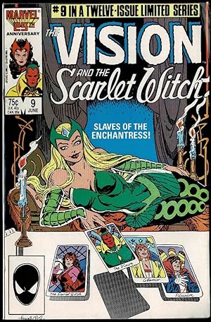 The Vision and the Scarlet Witch Vol.2 No.9