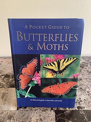 Immagine del venditore per A Pocket Guide to Butterflies & Moths venduto da Vero Beach Books