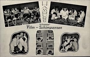 Ansichtskarte / Postkarte Schuman Film-Schimpansen, Szenen aus dem Leben der Schimpansen