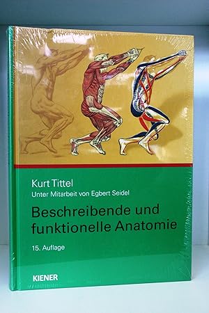 Beschreibende und funktionelle Anatomie