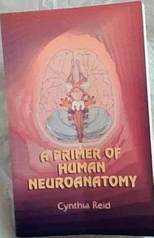 Image du vendeur pour A Primer of Human Neuroanatomy mis en vente par Chapter 1