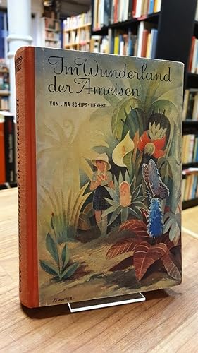 Seller image for Im Wunderland der Ameisen, for sale by Antiquariat Orban & Streu GbR