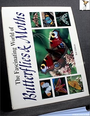 Bild des Verkufers fr The Fascinating World of Butterflies and Moths zum Verkauf von BookLovers of Bath