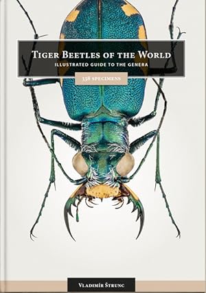 Tiger Beetles of the World: Illustrated Guide to the Genera