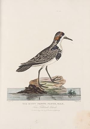 Bild des Verkufers fr A Voyage Round the World; but more particularly to the North-West Coast of America: Performed in 1785, 1786, 1787, and 1788, in the King George and Queen Charlotte, Captains Portlock and Dixon zum Verkauf von Donald A. Heald Rare Books (ABAA)