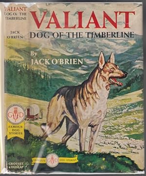 Valiant Dog Of The Timberline