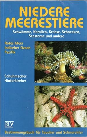 Bild des Verkufers fr Niedere Meerestiere zum Verkauf von Antiquariat Jterbook, Inh. H. Schulze