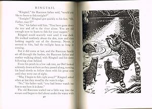 Seller image for Ringtail for sale by Jenny Wren Books