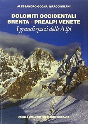 Immagine del venditore per I grandi spazi delle Alpi. Ediz. illustrata: 7 venduto da Usatopoli libriusatierari