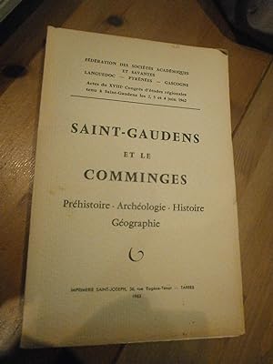 Saint-Gaudens & le Comminges