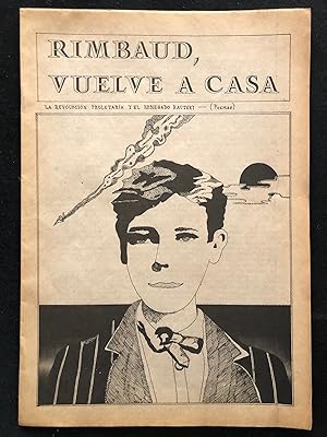 Rimbaud vuelve a casa