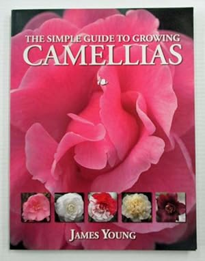 The Simple Guide To Growing Camellias