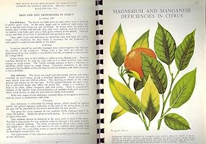 Some Plant Diseases (Spiral Bound)