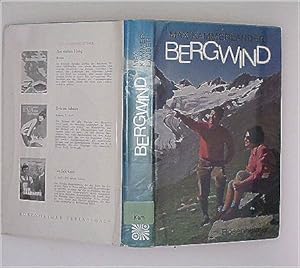 Bergwind. Roman