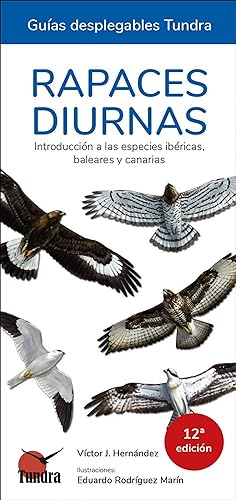Rapaces diurnas ( 12º edic.) introduccion a lasespecies ibericas, baleares y canarias