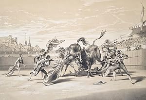 Imagen del vendedor de Tauromachia, or the Bull-Fights of Spain, Illustrated by twenty-six plates, representing the most remarkable incidents and scenes in the arenas of Madrid, Seville and Cadiz. a la venta por Librera Jos Porra Turanzas S.A.