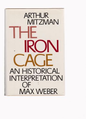 Seller image for The Iron Cage for sale by Robinson Street Books, IOBA